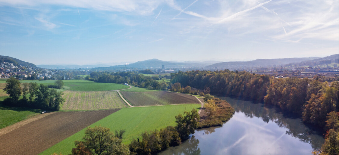 Ausblick auf die Limmat, die durch Wald und Wiesen fliesst.